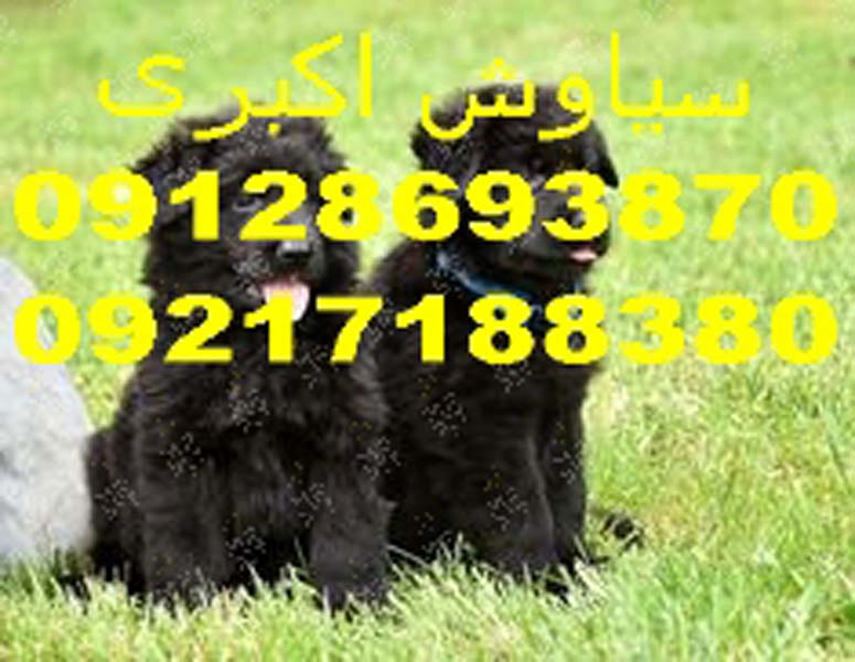 5f852b8a2c08b2bc42f23824081498c2