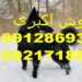 مقایسه قیمت سگ ژرمن در ایران و ترکیه