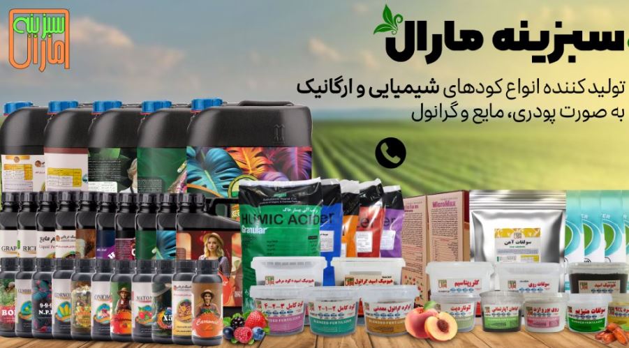 سبزینه مارال