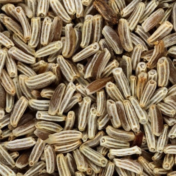 بابونه دارویی