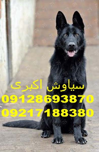 1e47012452bcc938a5827f3cea7ab5fa