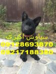 0d9b379c653156b6cd8c534e0557adcc