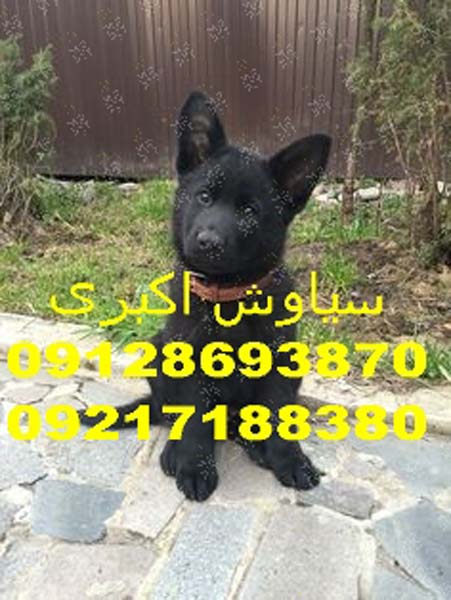 0d9b379c653156b6cd8c534e0557adcc