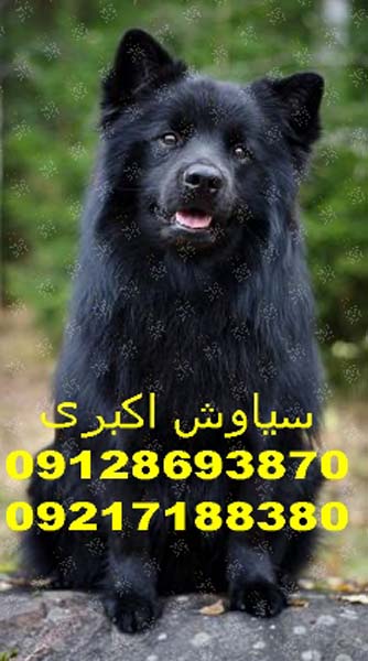0c9b765c0e076d689d30b4671bcf6d83