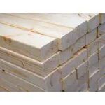 birch3