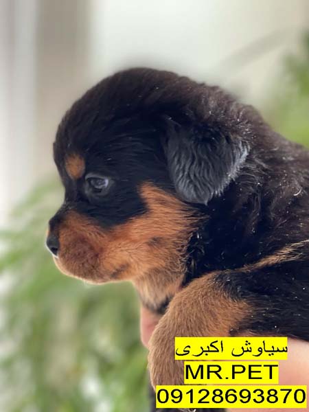 IMG-20220310-WA0166