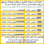 سرمایه گذاری با سود بالا و درآمد ماهانه در پوشاک پررونق