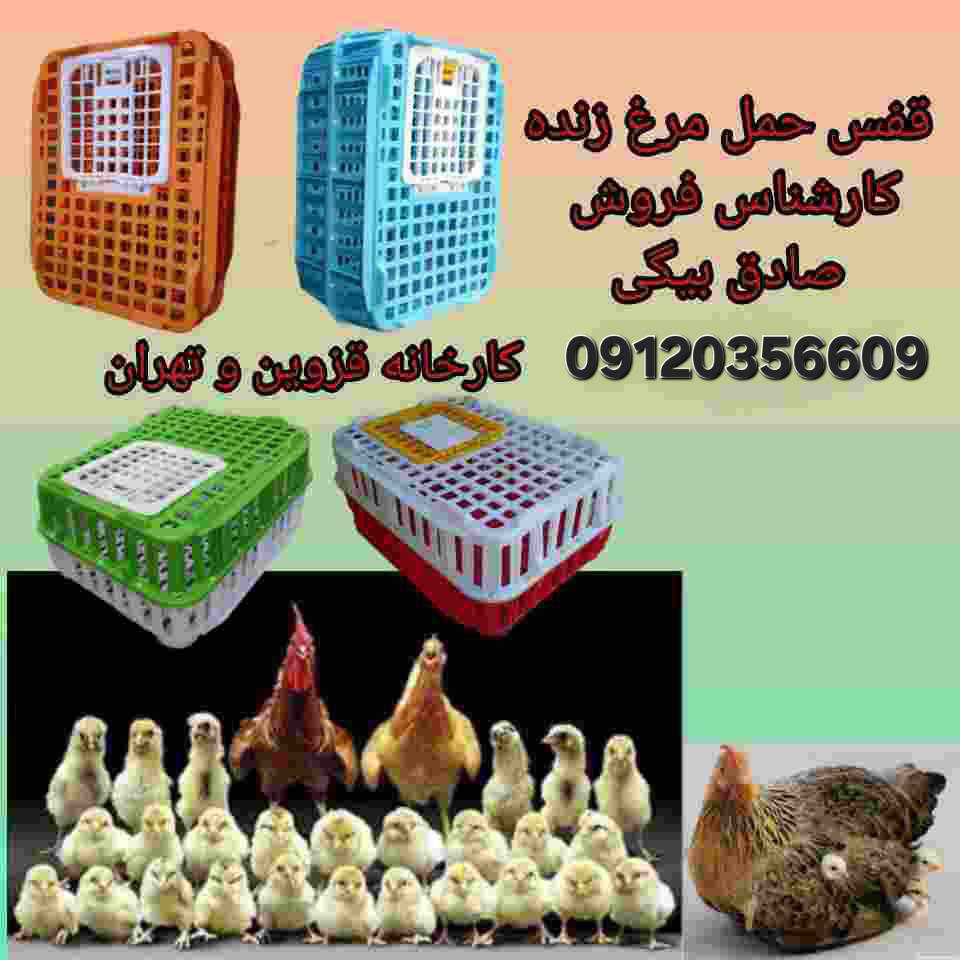 InShot_۲۰۲۴۰۶۱۲_۱۷۴۳۲۱۳۵۰