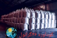 تامین کننده محصولات پتروشیمی کود اوره وگوگرد ودی آمونیوم فسفات روسیه وقزاقستان
