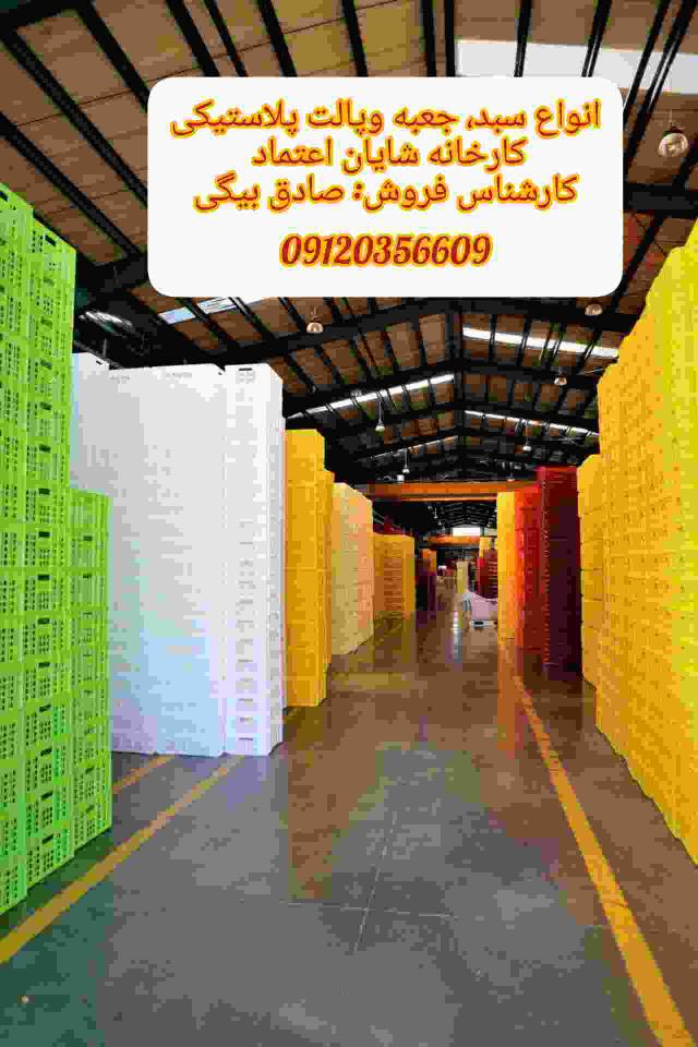 InShot_۲۰۲۵۰۴۰۶_۰۸۱۵۱۵۸۵۵