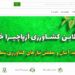 فروش ویژه بذر و نشاء و نهال در بازار آنلاین کشاورزی ازپاچیرا