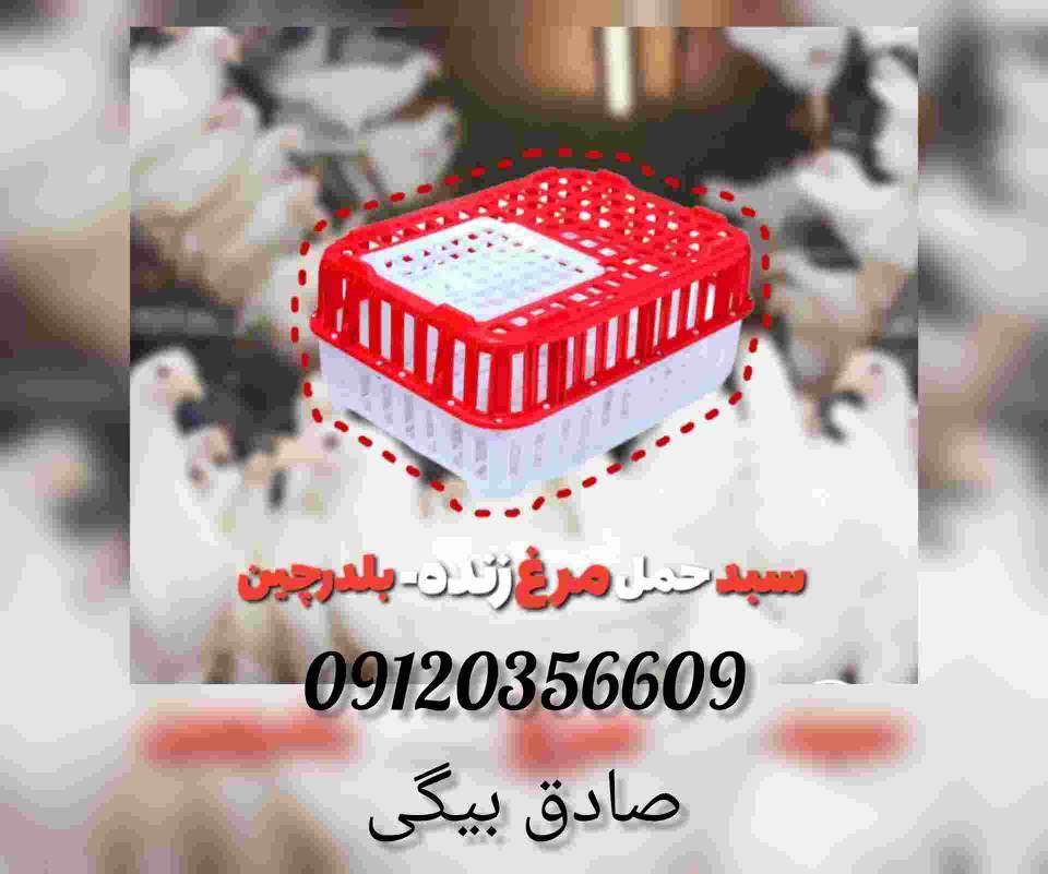 InShot_۲۰۲۵۰۴۰۵_۰۸۳۱۰۹۹۹۳