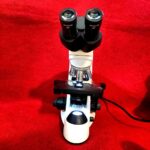 IMG_20250405_080225_077