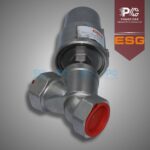 انگل ولو ESG