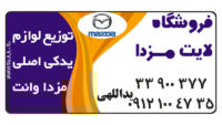 یدالهی 4541