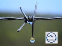 فروش انواع  سیم خاردار
