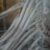 photo_۲۰۱۸-۱۱-۱۸_۱۲-۵۳-۲۵-169x300