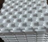 1000031014