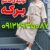 کانال تونیک عمده - تصویر1
