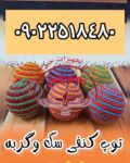 مجموعه کوروش عرضه کننده توپ کنفی سگ و گربه
