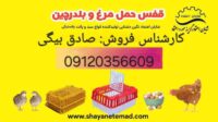 قفس حمل مرغ زنده،قفس مرغی