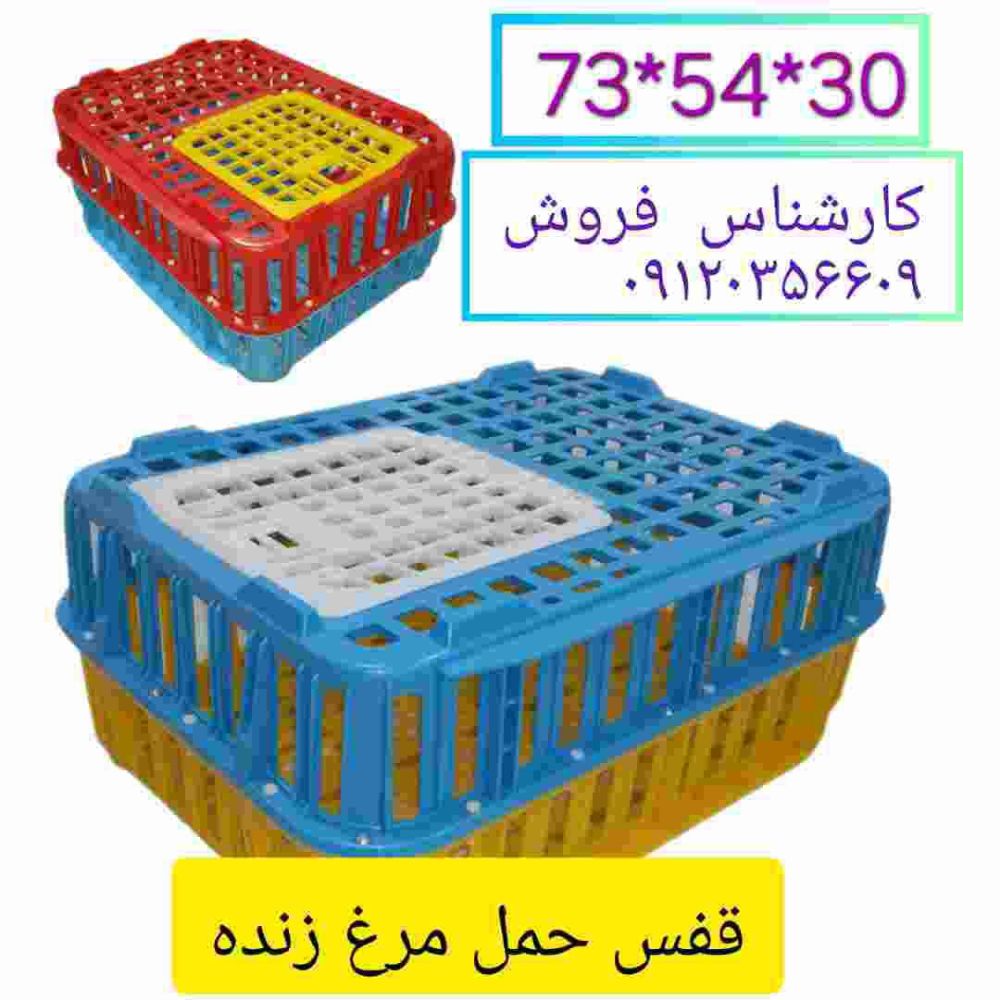 IMG-20241202-WA0002