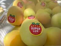 IMG-20250521-WA0042