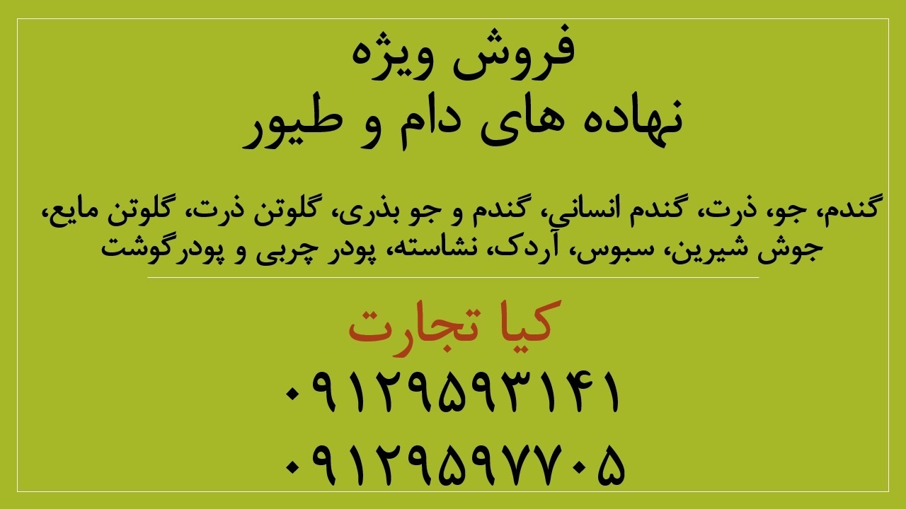 نهاده 33333333333333333333