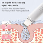 Carina H2 ultrasonic cleansing beauty instrument  (2)