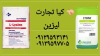 لیزین عکس
