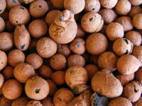 Hydroton