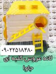 مجموعه کوروش عرضه کننده لانه عروس هلندی جاوا