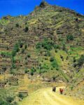 تور کردستان ، تجربه ای واقعی و متفاوت در تور کردستان