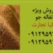 فروش ویژه تفاله جو – خوراکی مغذی، اقتصادی و باکیفیت برای دام شما! در کیا تجارت