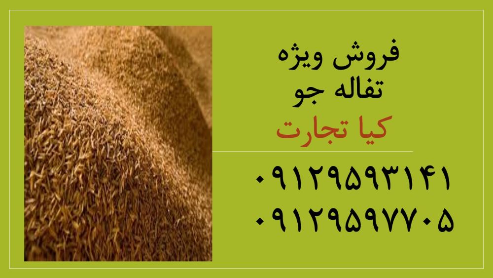 تفاله جو 1