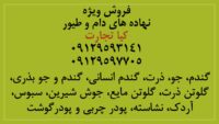 آگهی کلی 11111111111111111111111
