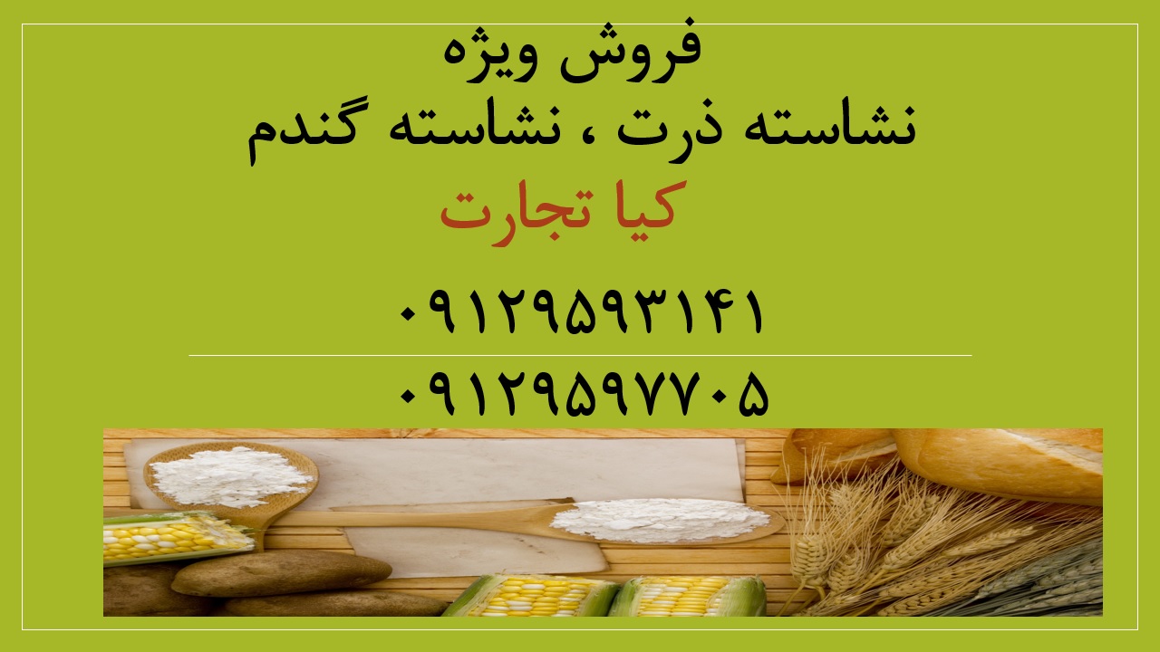 نشاسته1