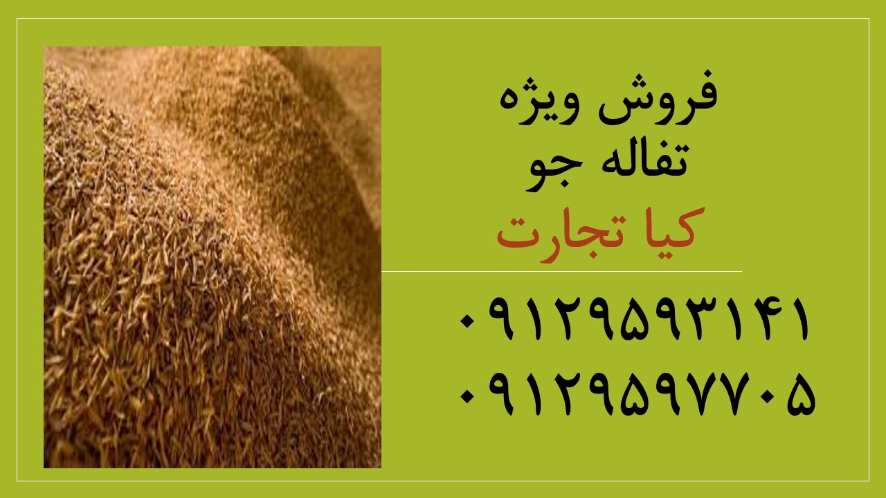 تفاله جو 1