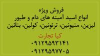 اسیدآمینه ها