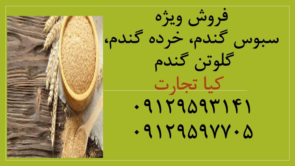 سبوس گندم 1