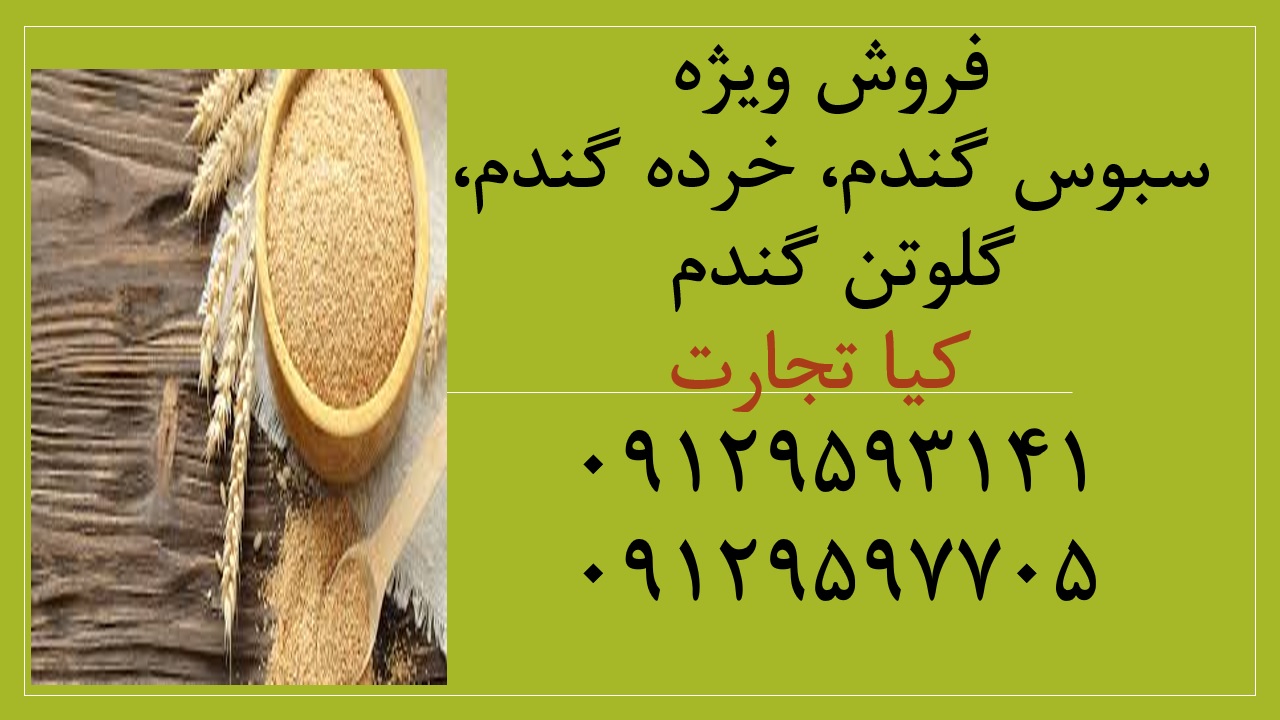 سبوس گندم 1