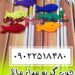 مجموعه کوروش عرضه کننده چوب گربه مدل ماهی