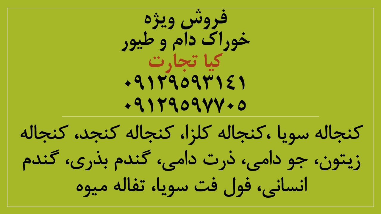 آگهی کلی 333333333333