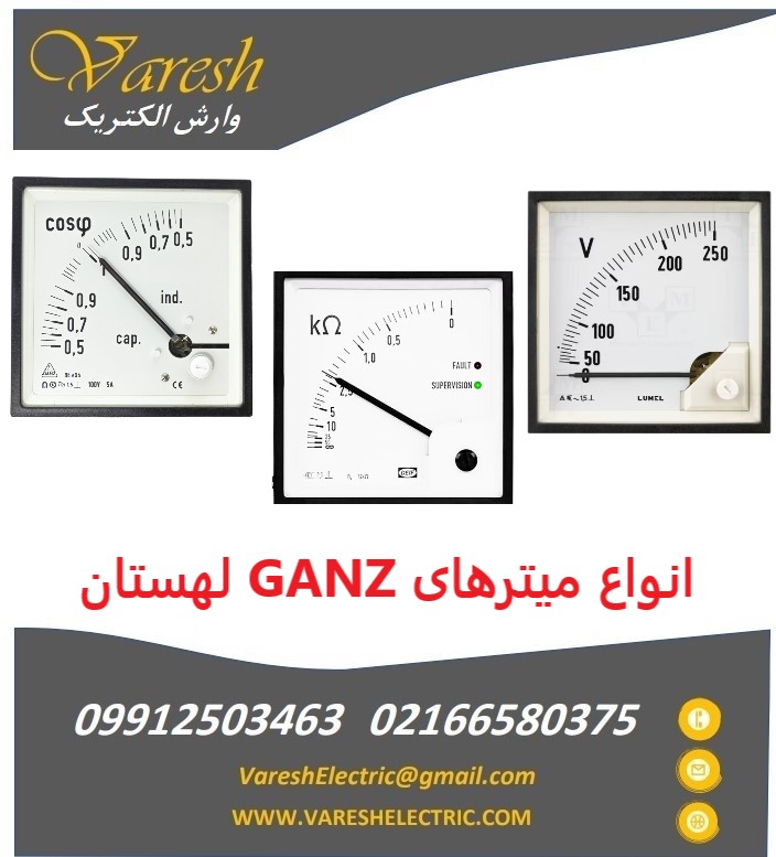 GANZ