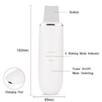 Carina H2 ultrasonic cleansing beauty instrument  (11)