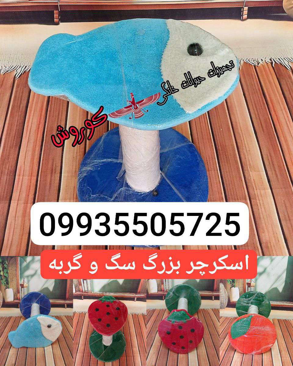 1000007668