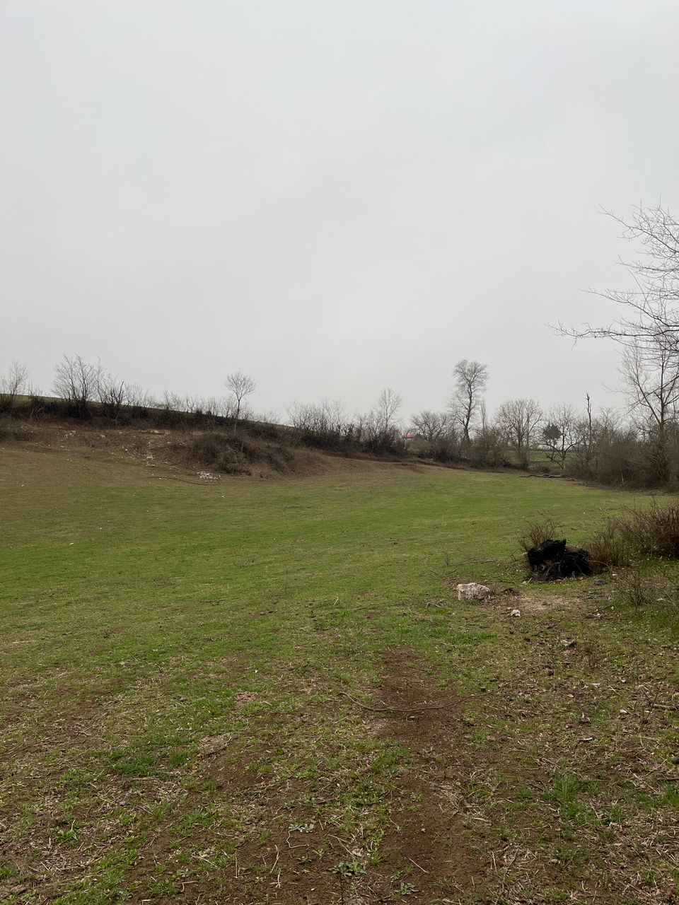 IMG-20240223-WA0011
