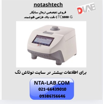 نوتاش تک