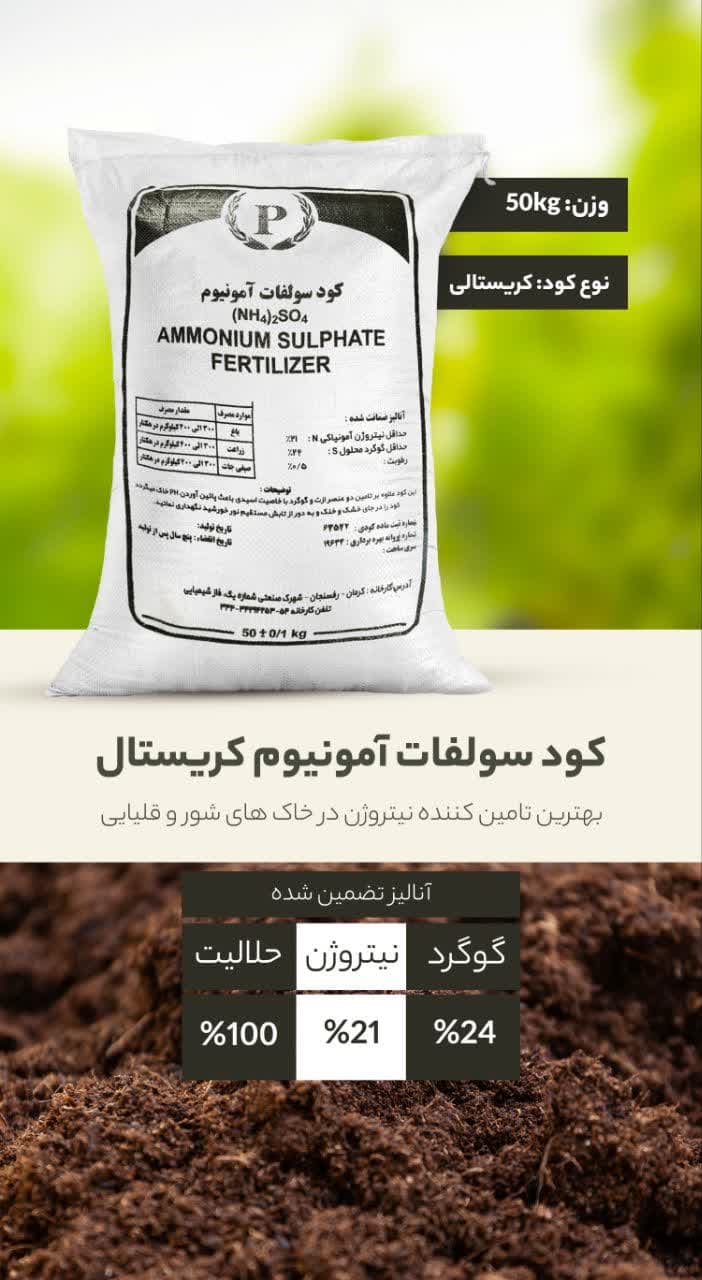 سولفات آمونیوم پاشا