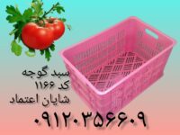 msg-10012867812-54